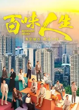 雾港回声 悬疑剧更新至24集